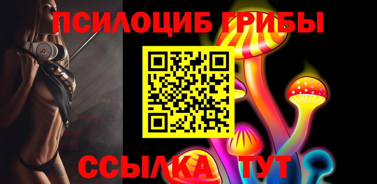 где купить наркоту  Псилоцибиновые грибы Cubensis  Вход с VPN  Йошкар-Ола 